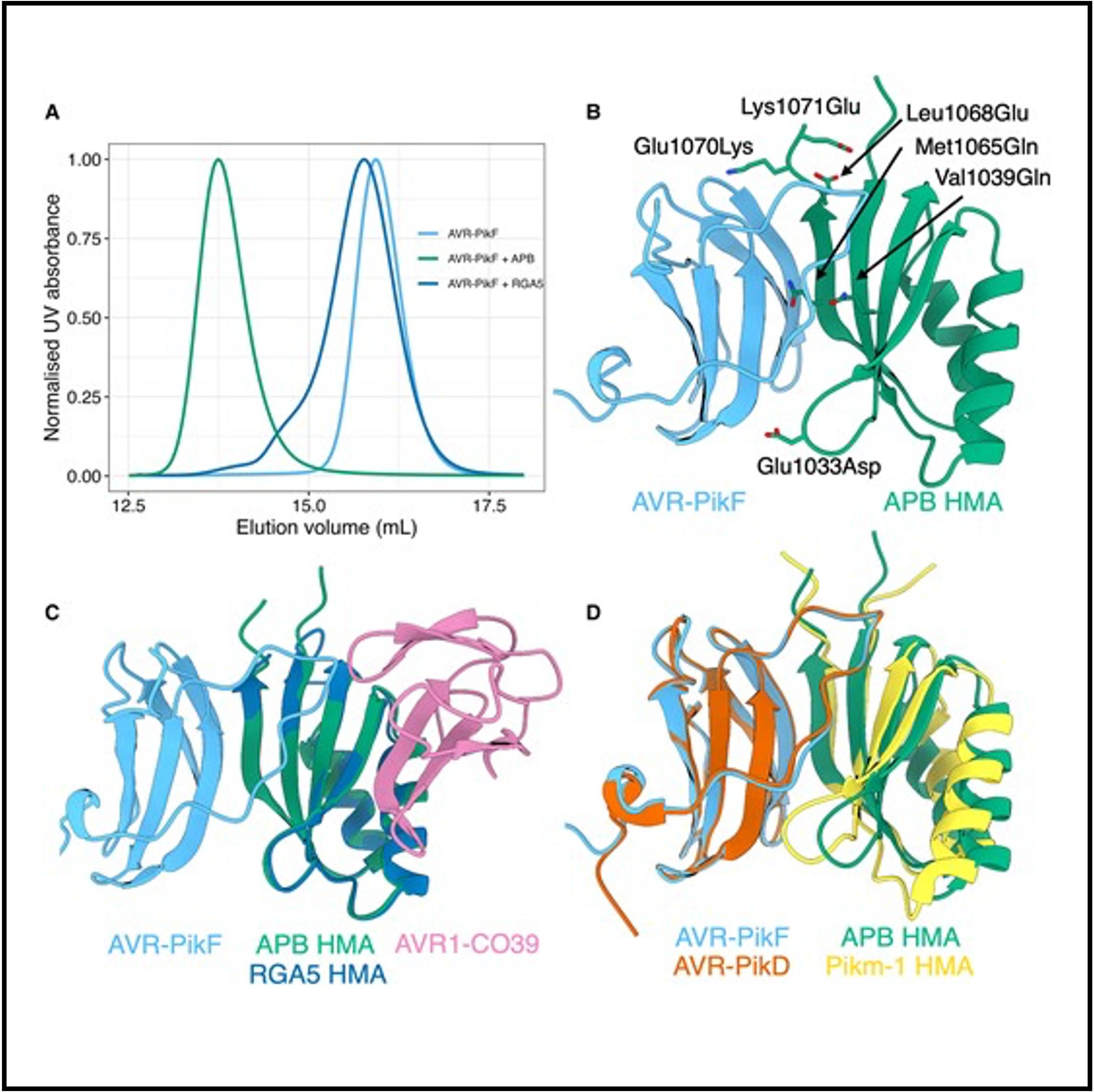 Descriptive alt text