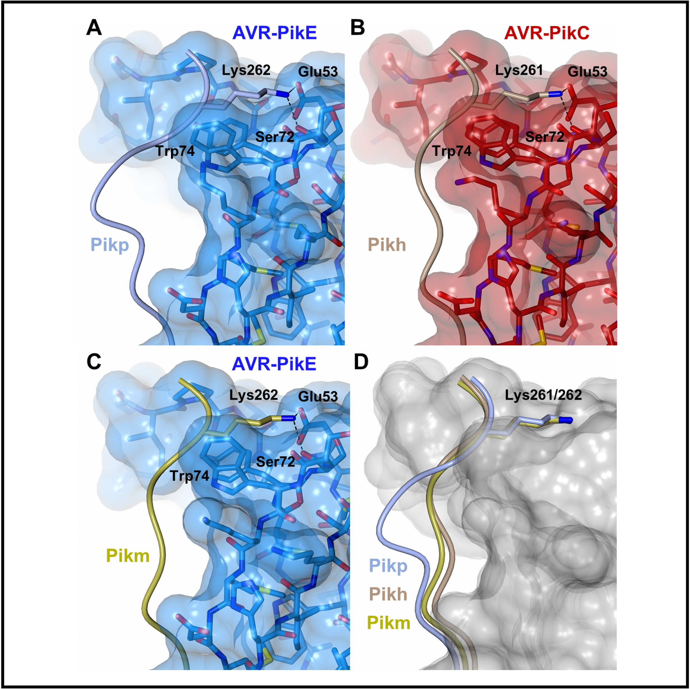 Descriptive alt text