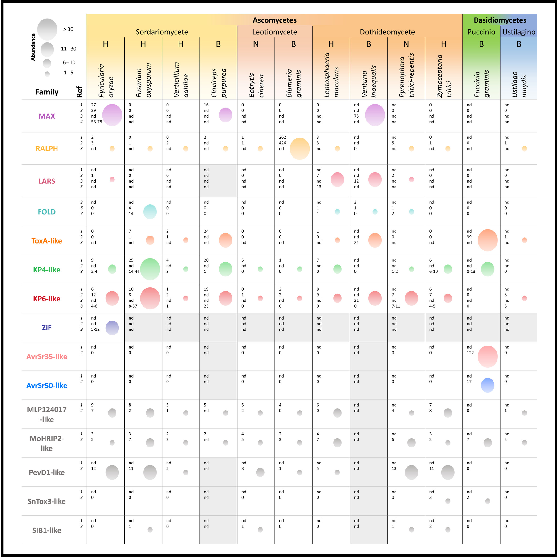 Descriptive alt text