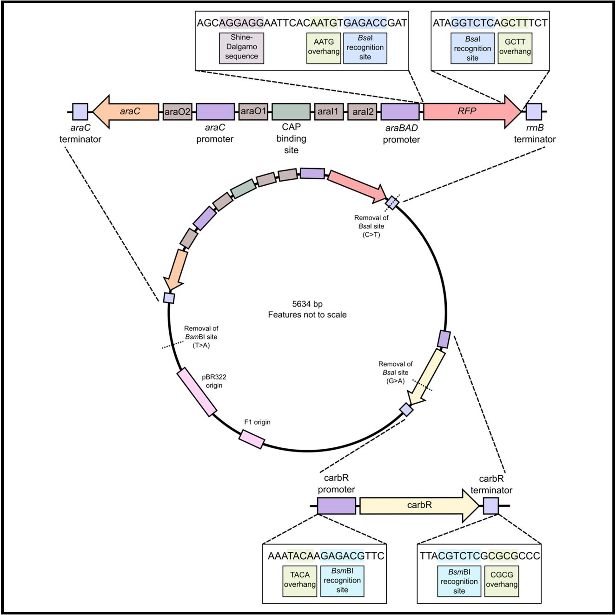 Descriptive alt text