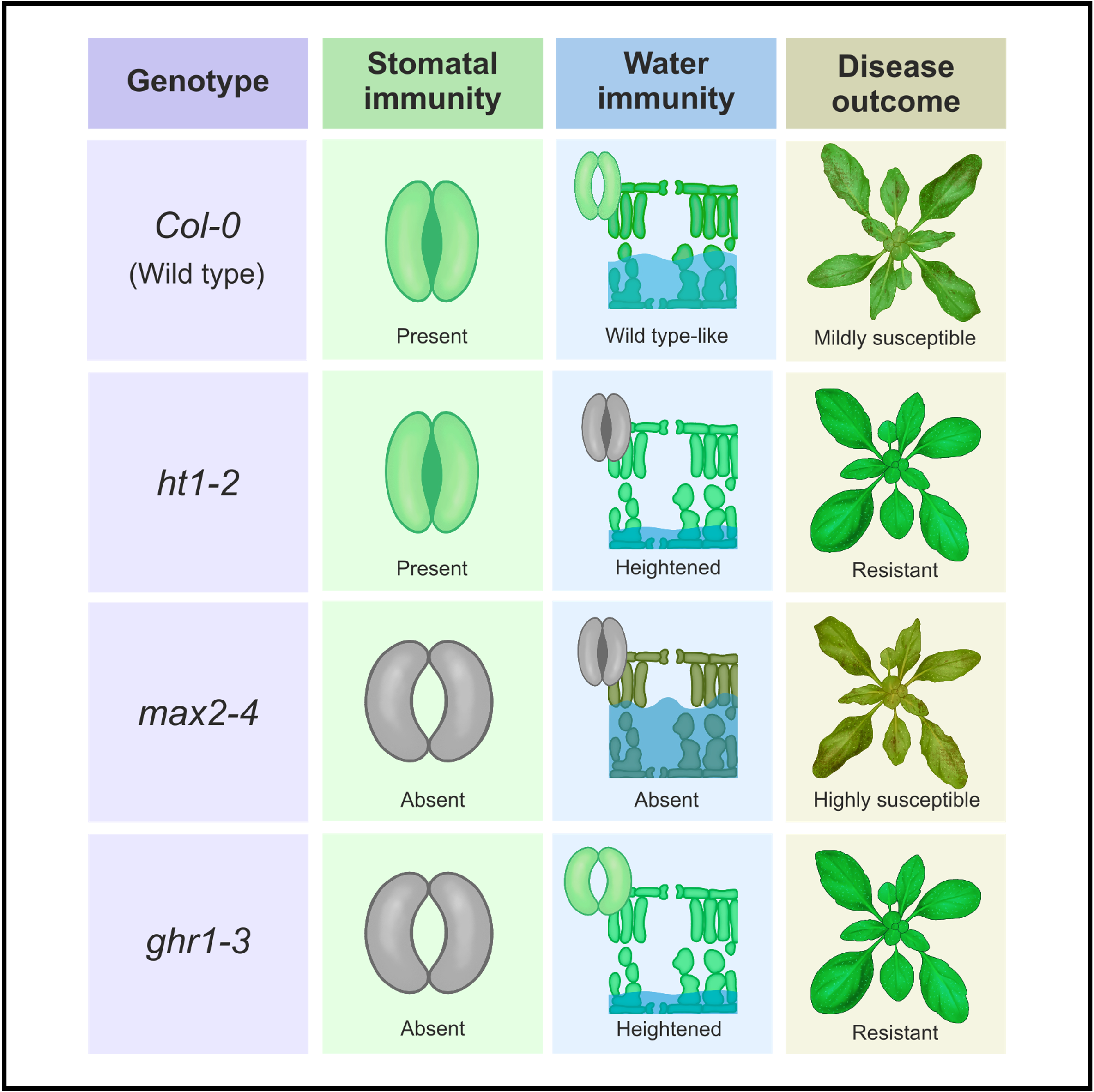 Descriptive alt text