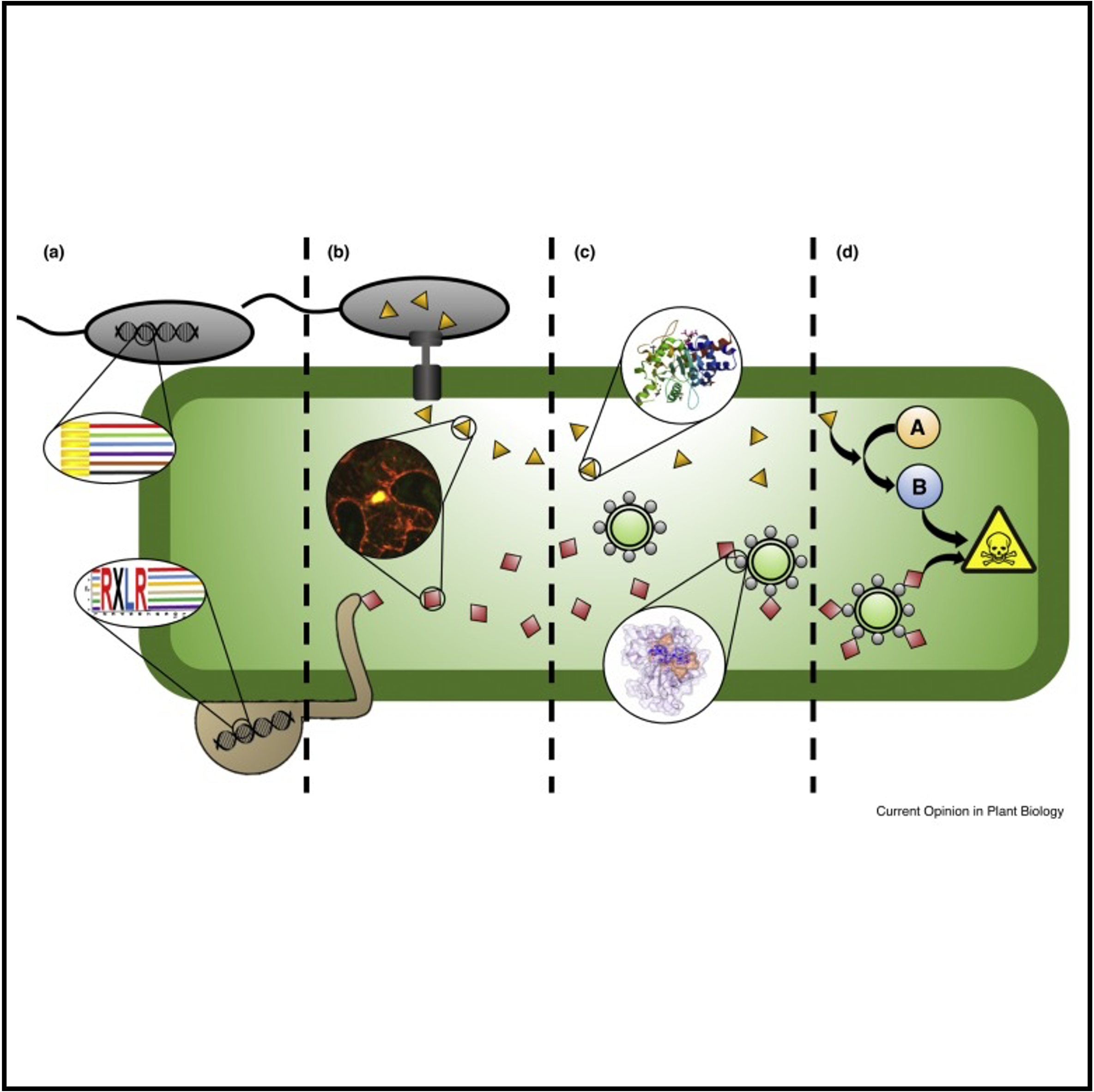 Descriptive alt text